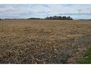 Property photo 3 - LAND AUCTION - 276.5+/- ACRES OFFERED IN 5 TRACTS IN EAST ALLEN COUNTY